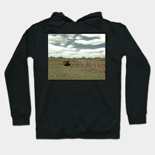 Old boat abandoned on a field Hoodie